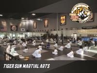 Tiger Sun Martial Arts image 3